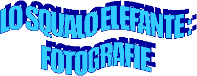 LO SQUALO ELEFANTE :
FOTOGRAFIE